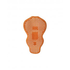 Proteccion espalda BYCITY...