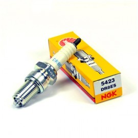 Bujia NGK DR8ES moto